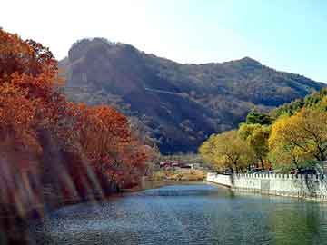 管家婆黑白马报图库，玻纤格栅